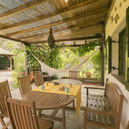 Sandy Feet Retreat, Vourvourou #Feelslikehome Ngoại thất bức ảnh